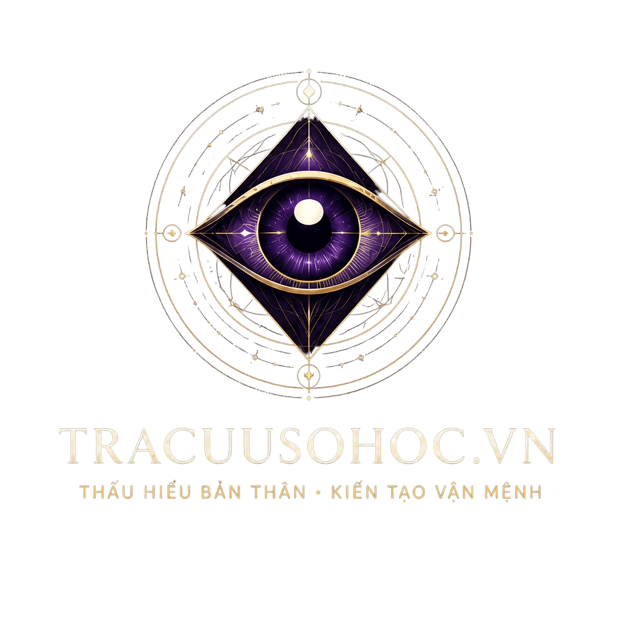 Tra cứu số học